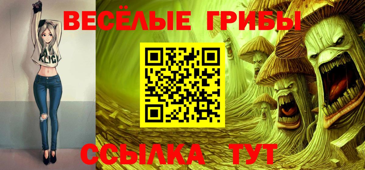 Еманжелинск  Галлюциногенные грибы Psilocybe  Вход с VPN  Псилоцибиновые грибы Psilocybine cubensis 