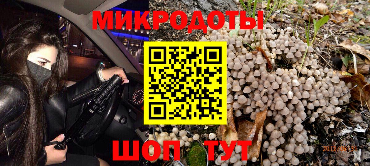 Псилоцибиновые грибы мицелий Еманжелинск